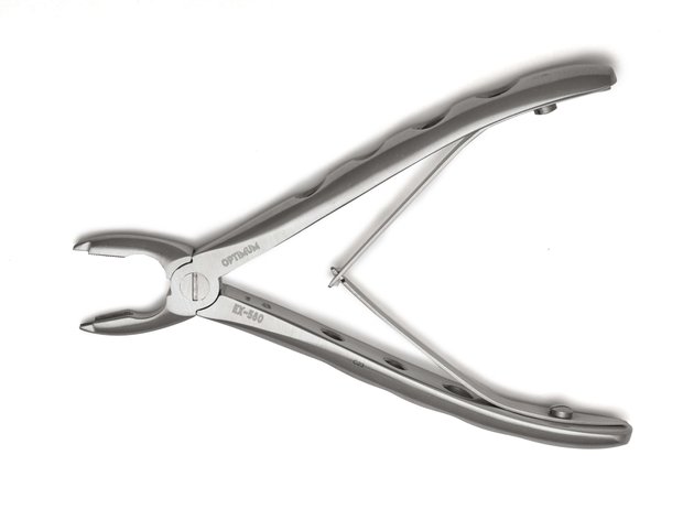 Extraction Forcep, Canine, 5″