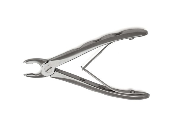 Extraction Forcep, Feline, 4.5″